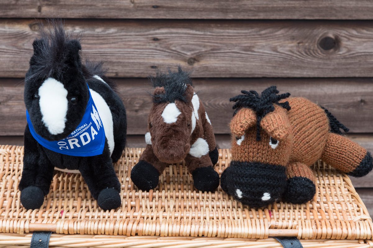 RDANomad's tweet photo. Thank you @nigekirby for this lovely photo of me and my friends Dobbin and the @RDAnational Mascot Chair Percy on Friday 🐴⭐️🎉

@North_Mids_RDA @PostcodeLottery @RDAMattDalley https://t.co/PRxTlHl12s