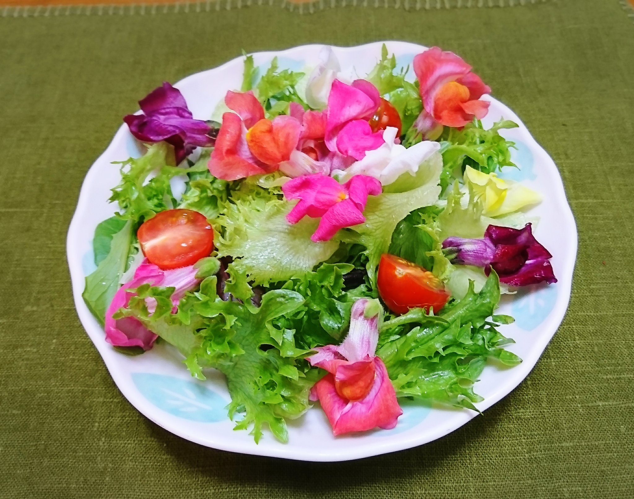 紫香 しかお Twitterissa 食べられるお花のサラダ 食べられるお花が売ってたので 買ってみた キンギョソウかなー 味はちょっと苦く感じる事もあったけどあんまりしない 最近 鼻が調子よくないから 繊細な味ならわからないかな サラダ エディブル