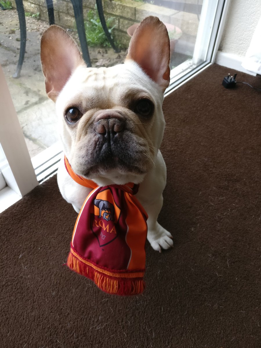 modroalex's tweet photo. @ASRomaEN Daje Roma https://t.co/XJDiwOtzEU