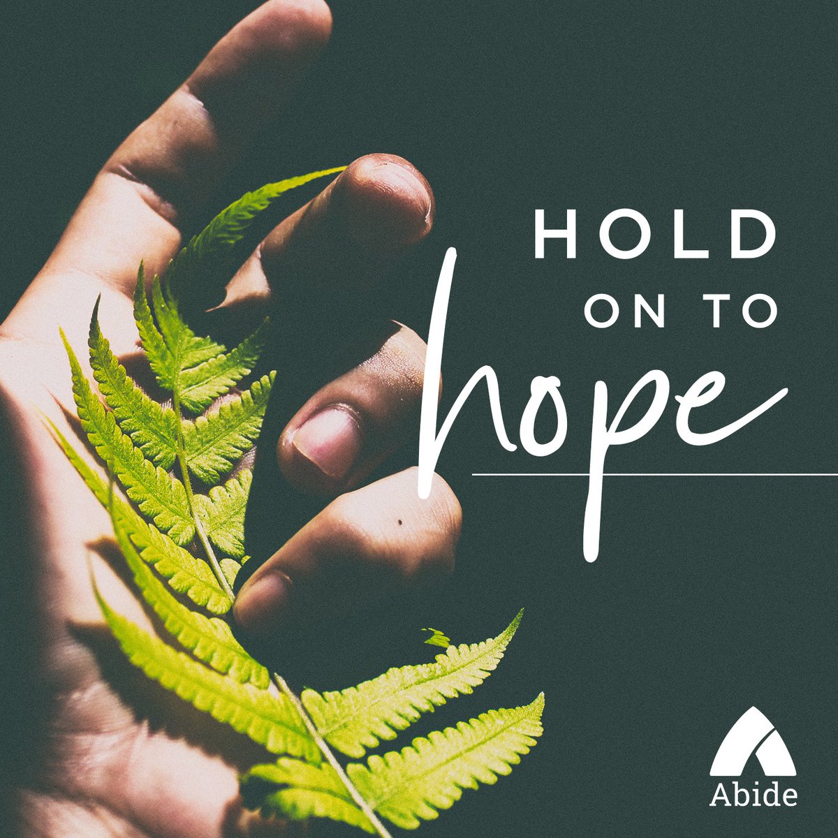 AbideApp's tweet photo. If you're facing challenging circumstances HOLD ON to HOPE!
#abideis #abide #meditation #prayer #devotional #devotions #words #truth #heaven #jesus #cslewis #dream #morehope #Hope https://t.co/XkDChvOPa9