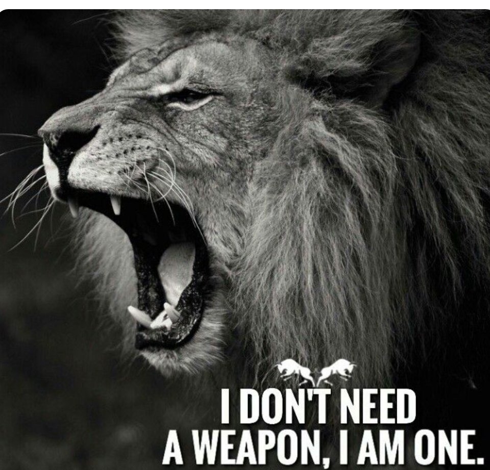 Roar Lions! Be an Alpha!