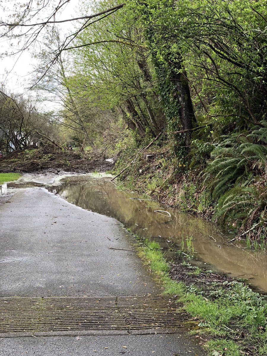 Big mudslide on <a href="/burkegilmantrl/">Burke-Gilman Trail</a>    #burkegilmanmudslide