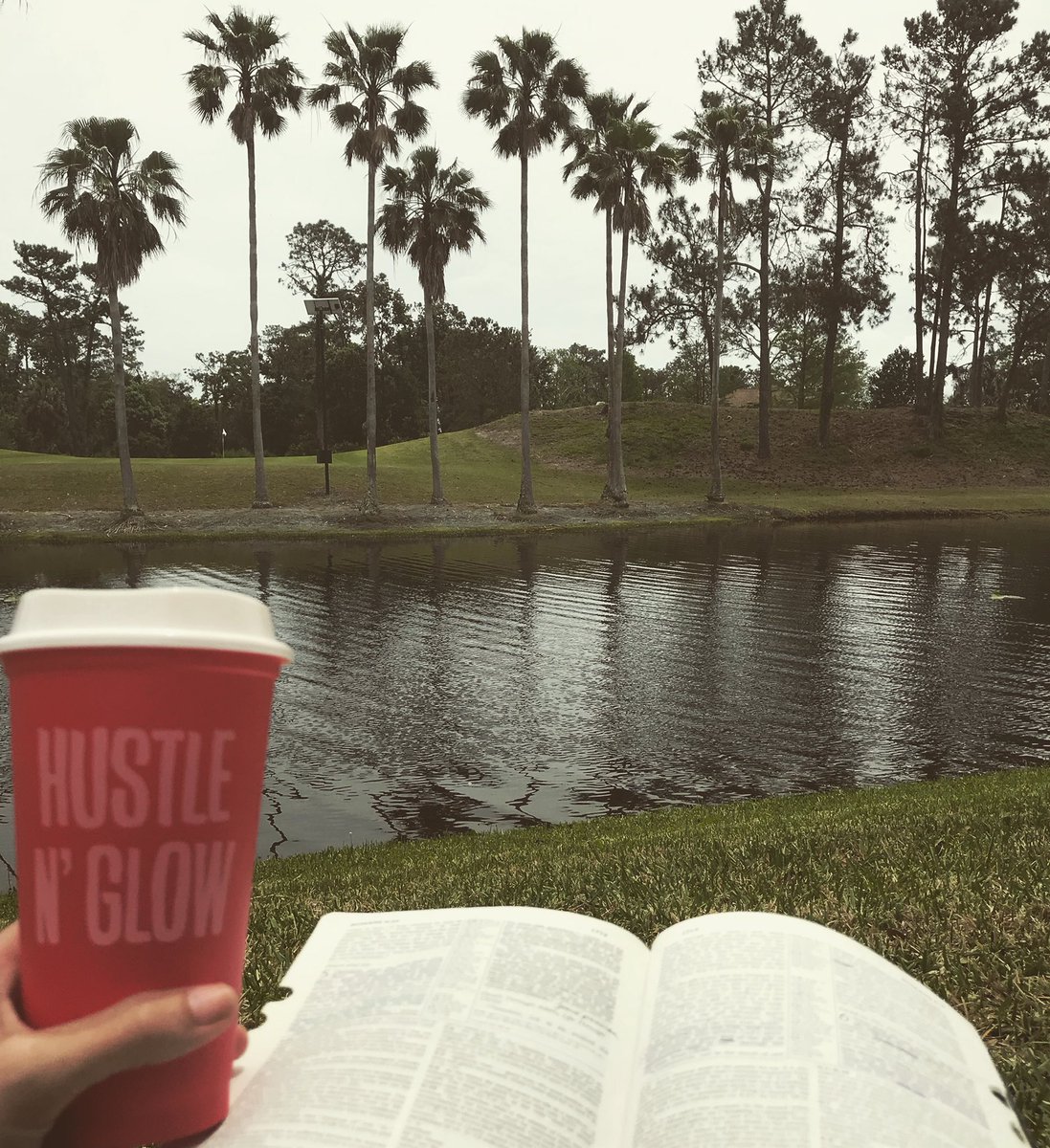 dmcfarlandbooks's tweet photo. Morning quiet time today. #biblelife #readerlife #authorlife #indieauthor #immer #immerseries #treu #flagirl #palmtrees #booksbythelake #hustleandglow #paranormalfantasyauthor #bookstagram #authorsofinstagram https://t.co/MyZhovTJyy