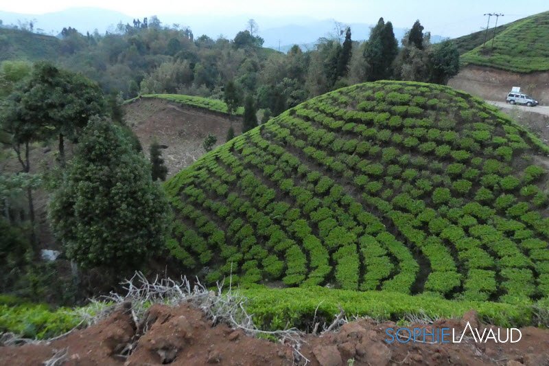 SophieLavaud's tweet photo. Fini le trek d’approche : Keban, Yamphudin, Tortong, puis Cheran, le 14 avril.
Me voilà au camp de base du Kangchenjunga (5’475 m)
Sophie
#Milletriseup #Baechli #Grivel #asporteyewear (Adidas) #tingerlaattoujoursavecmoi https://t.co/4sTe4eJxU5
