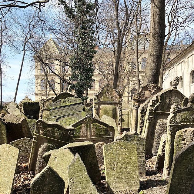 ChrisElward's tweet photo. The Old Jewish Cemetery https://t.co/g36Wv8lBhN https://t.co/PlFpY7oRxw