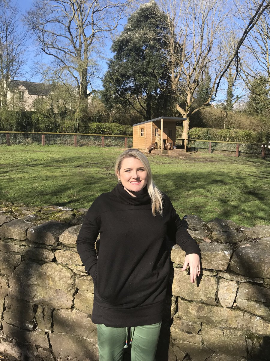 GetJetSet1's tweet photo. Enjoying #ireland #countryside #bunrattycastle https://t.co/QczKQT7TPz
