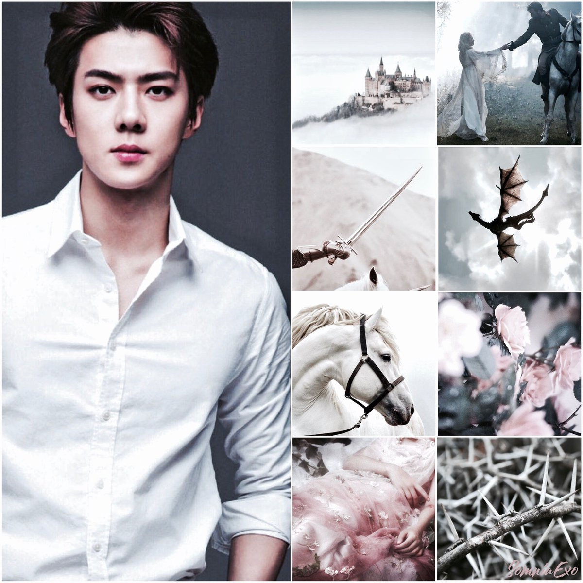 somniaexo's tweet photo. Sehun - Prince Philip (Sleeping Beauty)
#somniaexo #EXO #moodboard #adminGigi #Selene #DisneyPrincesAU
https://t.co/nrBjgiiXcQ https://t.co/uI1pufMP0A