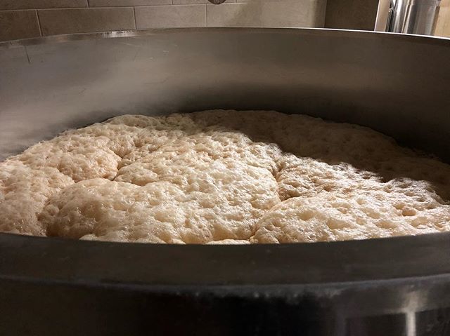 ScorchedEarthBr's tweet photo. Our Belgian yeast is very, very happy creating Exiled Angel Belgian Golden Ale! #fermentationisfun #openfermentation #beerpillow #beerclouds #exiledangel #belgiangoldenale #belgianbeer #geekingout #beerislove #craftbeer #craftbeerlover #beergeeks #beerge… https://t.co/pDAisvGdsi https://t.co/p5m6fli7Pf