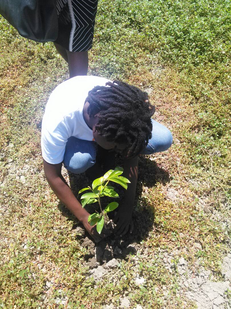 GoodDeedsDayHT's tweet photo. #GoodDeedsDay une occasion pour repenser à l'entretien de l'environnement par le reboisement.
#PlantePouLapè #PlantForPeace #GoodDeedsDayHaiti https://t.co/NJSqHE4rrR