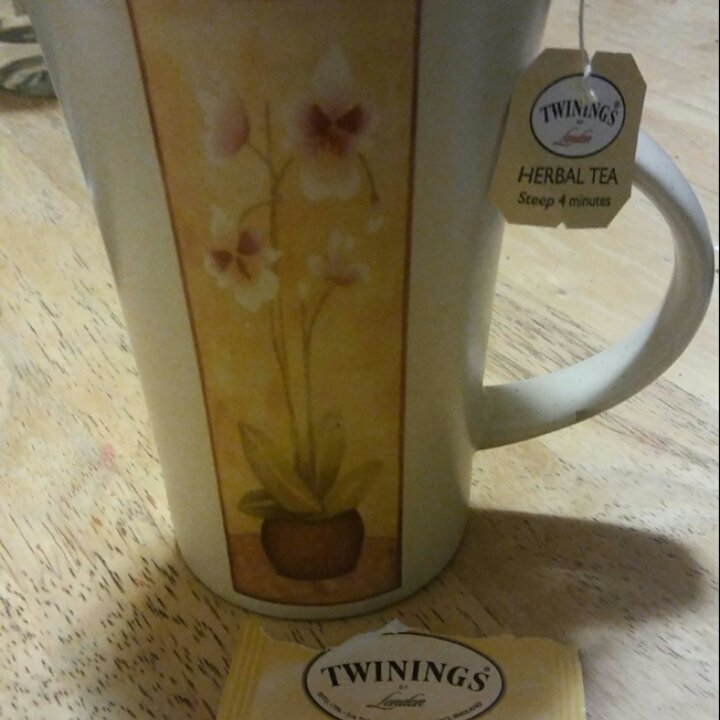 TonyaAngelo2's tweet photo. A great blend of lemon and ginger @twiningsteauk @influenster #twiningsteatime #complimentary #contest https://t.co/ONAA9QekYF