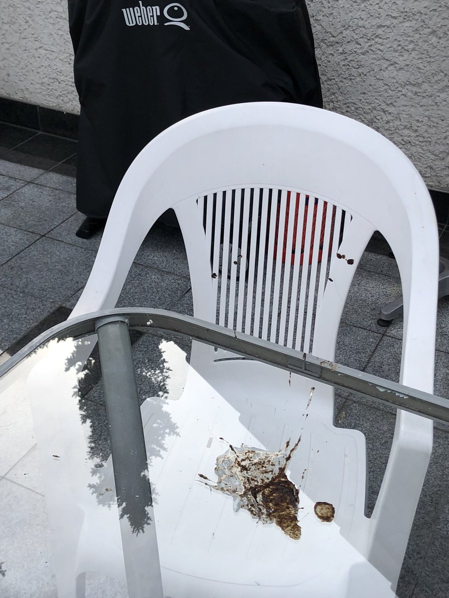 Knochen on Twitter: "An das kleine züße Vögelchen, das mit ...