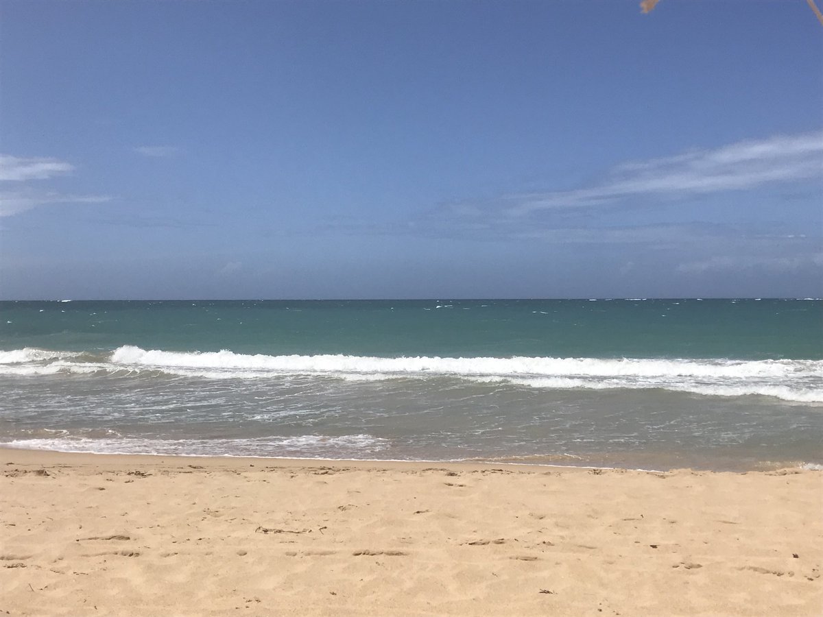 TCarter_Wx's tweet photo. Have only been back a day and missing PR. From the beach and 80βs to snow and 30βs in Missouri. I want to go back! ππ #PRParadise @adamonzon @DeborahWAPA @KSANJUAN17 @PuertoRicoPUR https://t.co/0WwOWE2Jel