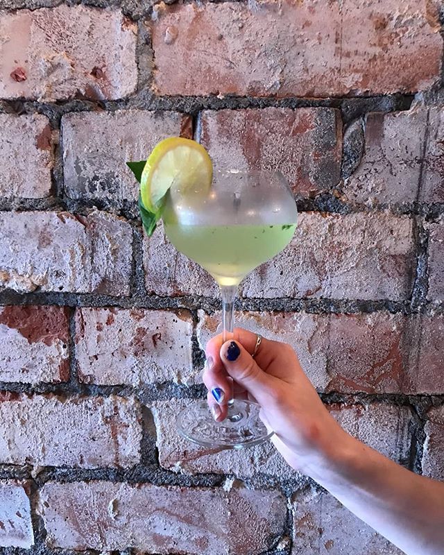 basilandlily's tweet photo. Introducing our Basil Gimlet - basil leaves, lime juice and a double shot of gin. So refreshing, so tasty, £7 #prestwich #basilgimlet #basil #cocktails https://t.co/5EPChLwapZ https://t.co/YekLl0oVoy