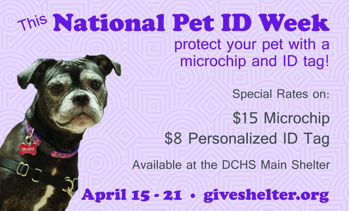 Celebrate #NationalPetIDWeek by protecting your pet with a #microchip and #IDTag! Special rates on microchips and personalized ID tags available at the DCHS Main Shelter from April 15-21. ow.ly/NXcL30jmETz