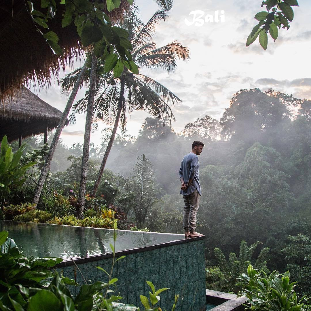 Travel Star Pro tweet media