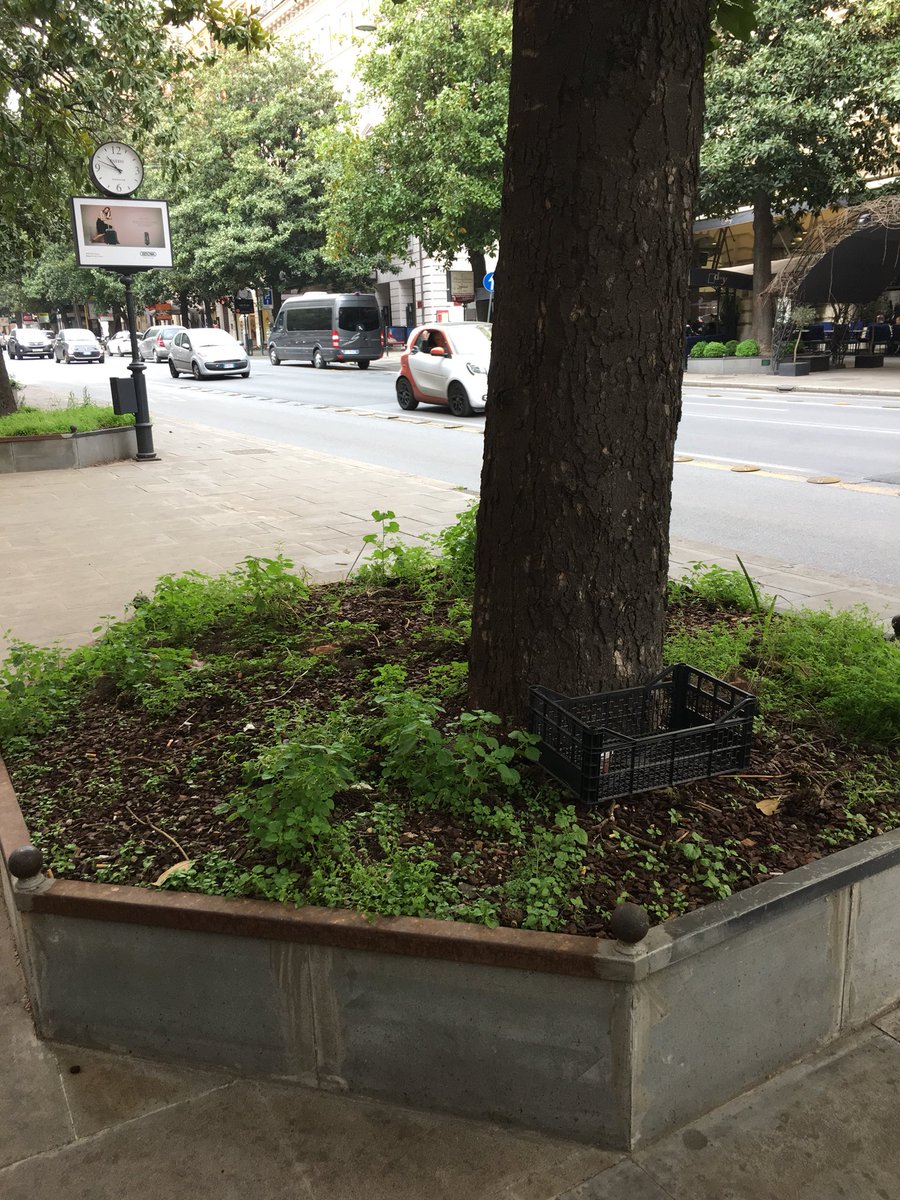 _romaxroma_'s tweet photo. Via Veneto / Dolce Vita @virginiaraggi @romafaschifo @Sosromacapitale @rep_roma @GiusiCampanini @romatristezza @Sovrintendenza https://t.co/QQUEx8pFeU