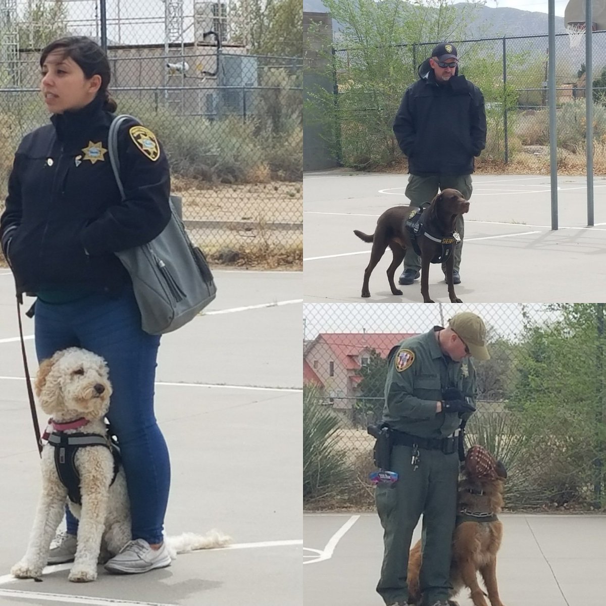 BCSO brought the therapy dogs and K9 unit to Double Eagle. Excellent way to wrap up our GREAT study.
<a href="/DEESPrincipal/">Double Eagle</a> <a href="/ABQschools/">Albuquerque Public Schools</a> @BCSDSheriff
#iteach5th #5thgraderocks