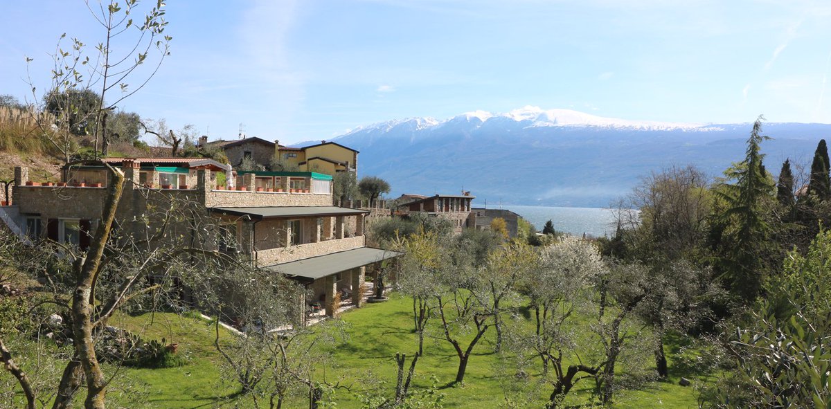 B&B La cascata negli ulivi tweet media