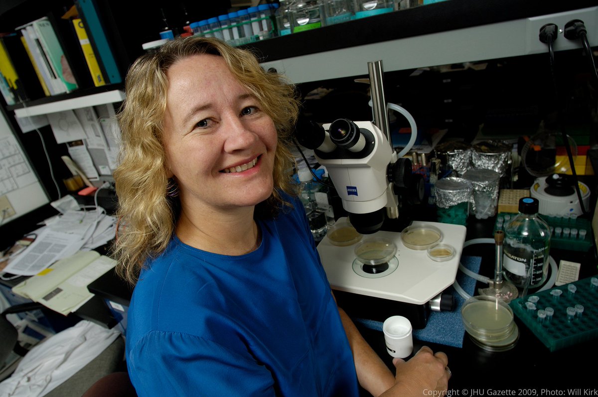 Wishing a happy birthday to Carol Greider who was awarded the Nobel Prize in Physiology or Medicine in 2009 for her research on telomeres and the enzyme telomerase.