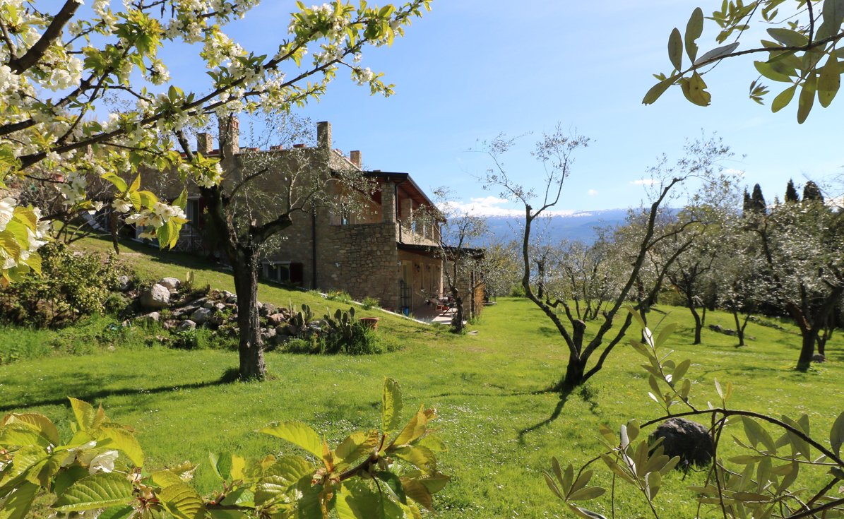 B&B La cascata negli ulivi tweet media