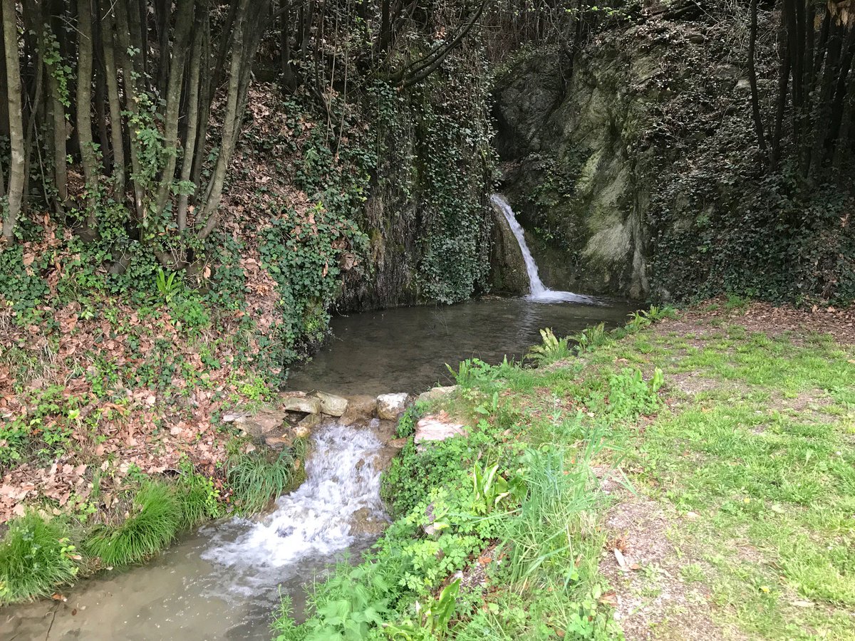 B&B La cascata negli ulivi tweet media
