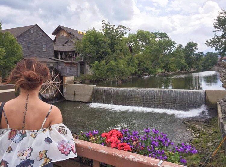 thebestofjade's tweet photo. jade x nature is a beautiful concept https://t.co/TVbOKgLDIL