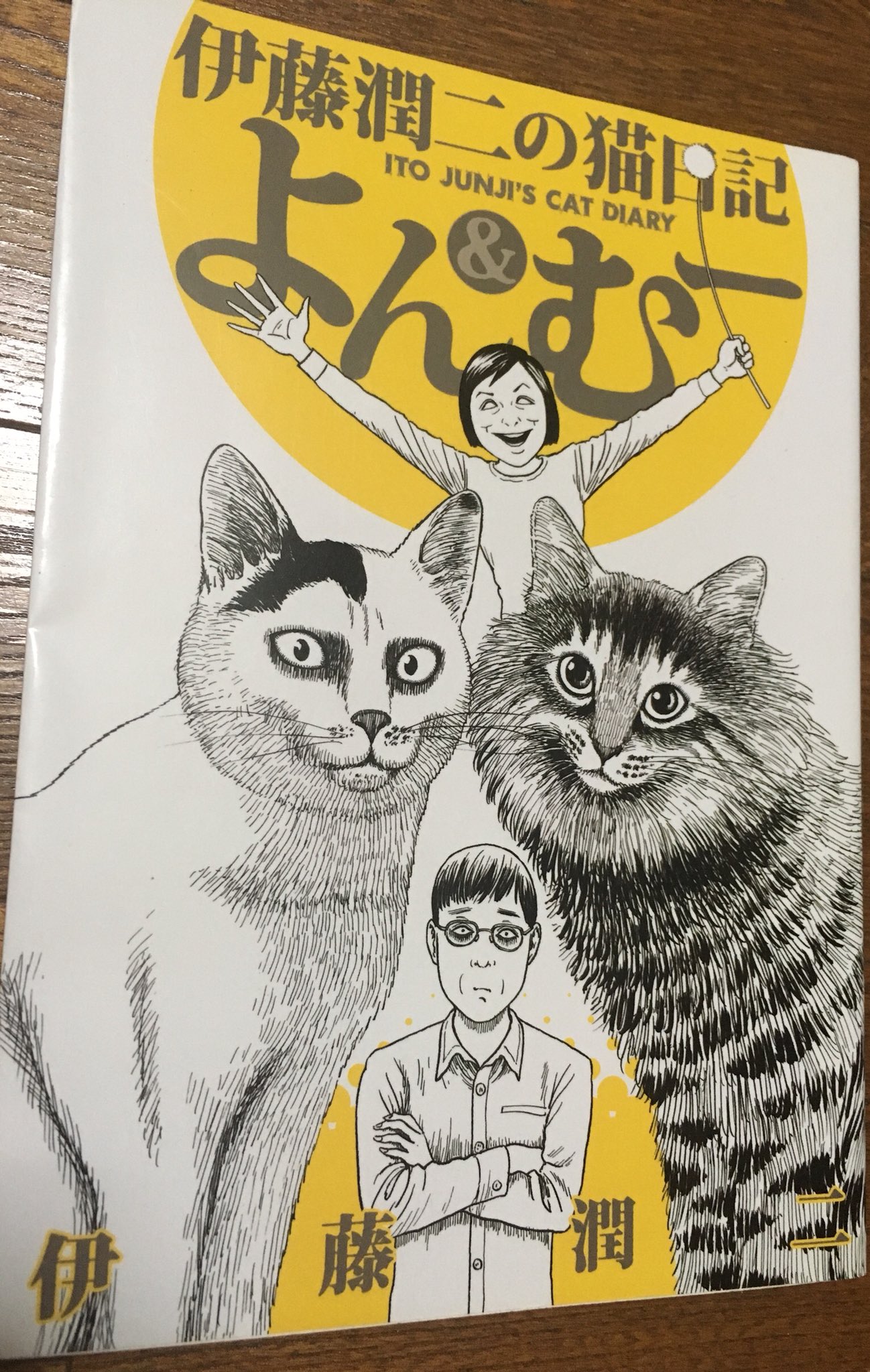 画像 7冊目伊藤潤二の猫日記 よん むー自分史上最高のネコ漫画 T Co 5nlxsicijj Matomehub まとめ ハブ