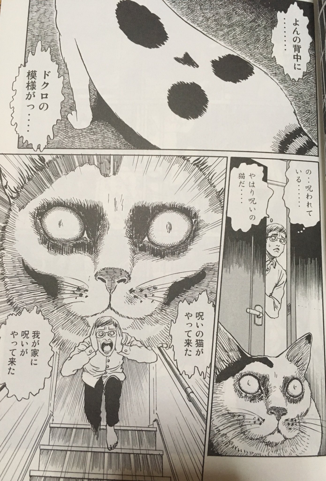 里orサト V Tvittere ７冊目 伊藤潤二の猫日記 よん むー 自分史上最高のネコ漫画