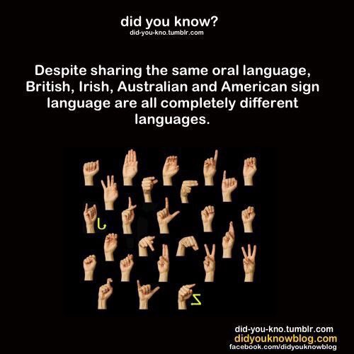 kitanonprofit's tweet image. Did you know despite sharing the same oral language, British, Irish, Australian, and American Sign Language are completely different languages? Today we celebrate #NationalASLDay, so follow the hashtag to learn more about the amazing culture that comes from ASL! #1nt #xl8 #t9n