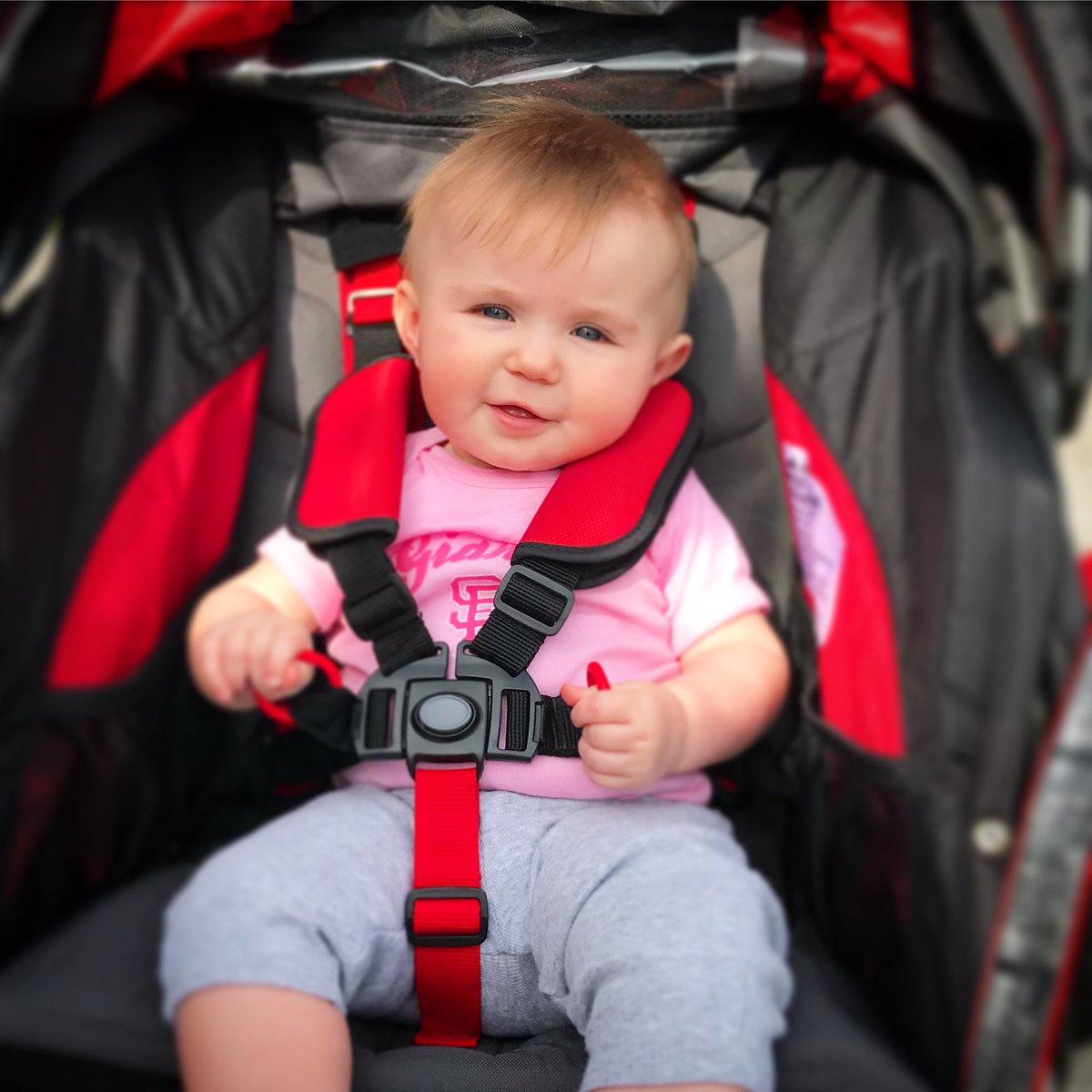 JeffreyKnightLV's tweet image. Although Madison has been upright for a while, yesterday was her first day of sitting up in her #bobstroller.  She really enjoyed taking in everything throughout the park as she baby babbled and squealed at various people we passed. ▶️instagram.com/knightsunlimit… #biggirl #sfgiants
