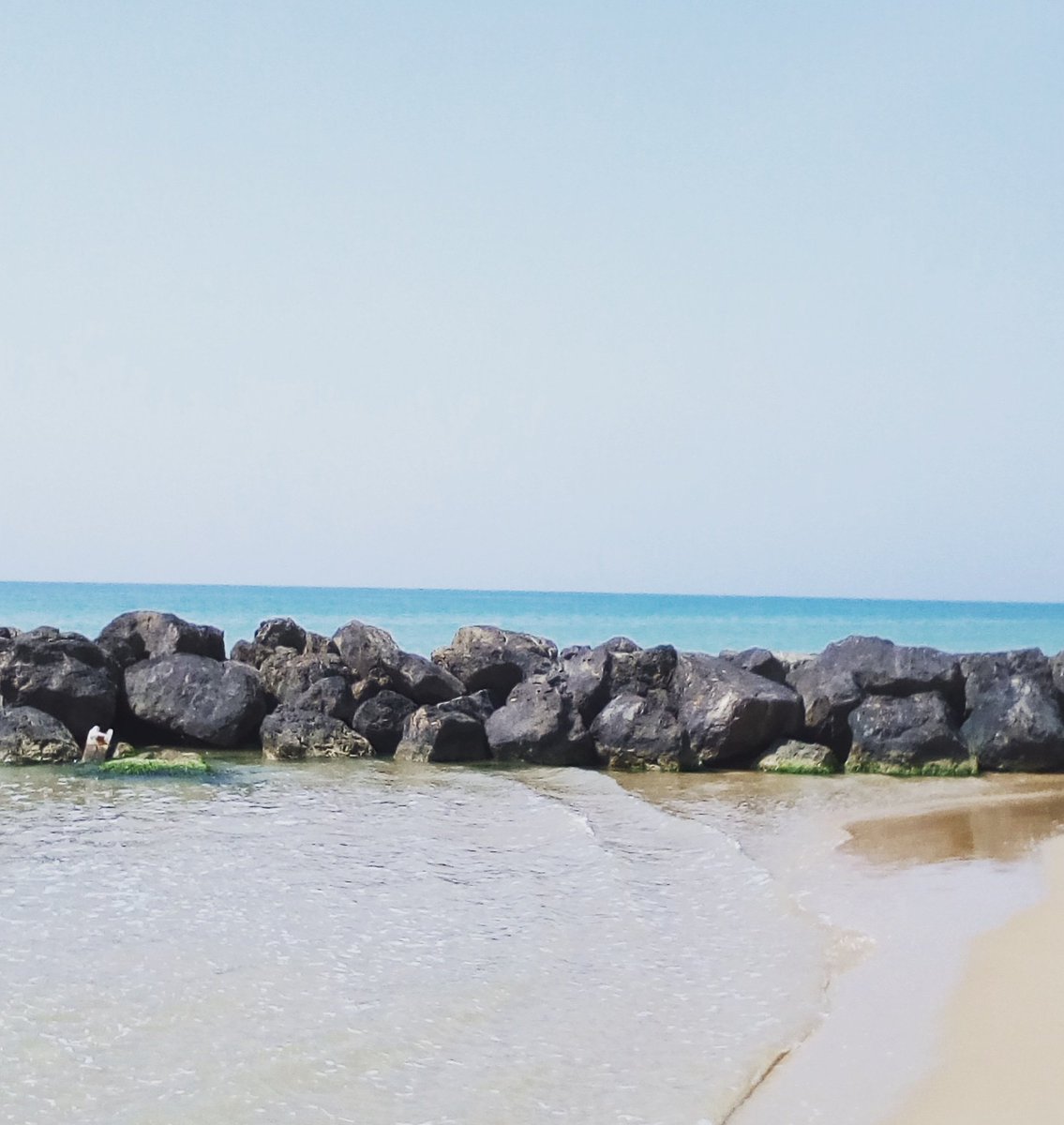 RossellaRo_'s tweet photo. ... #UnGiormo
Quanti anni hai?
[...]
#TuComeMe
#Siria #MedioOriente
#Africa
#MondoDisperso
#Migranti

https://t.co/vhKq2WwTr9 https://t.co/4PgC3q2vlz