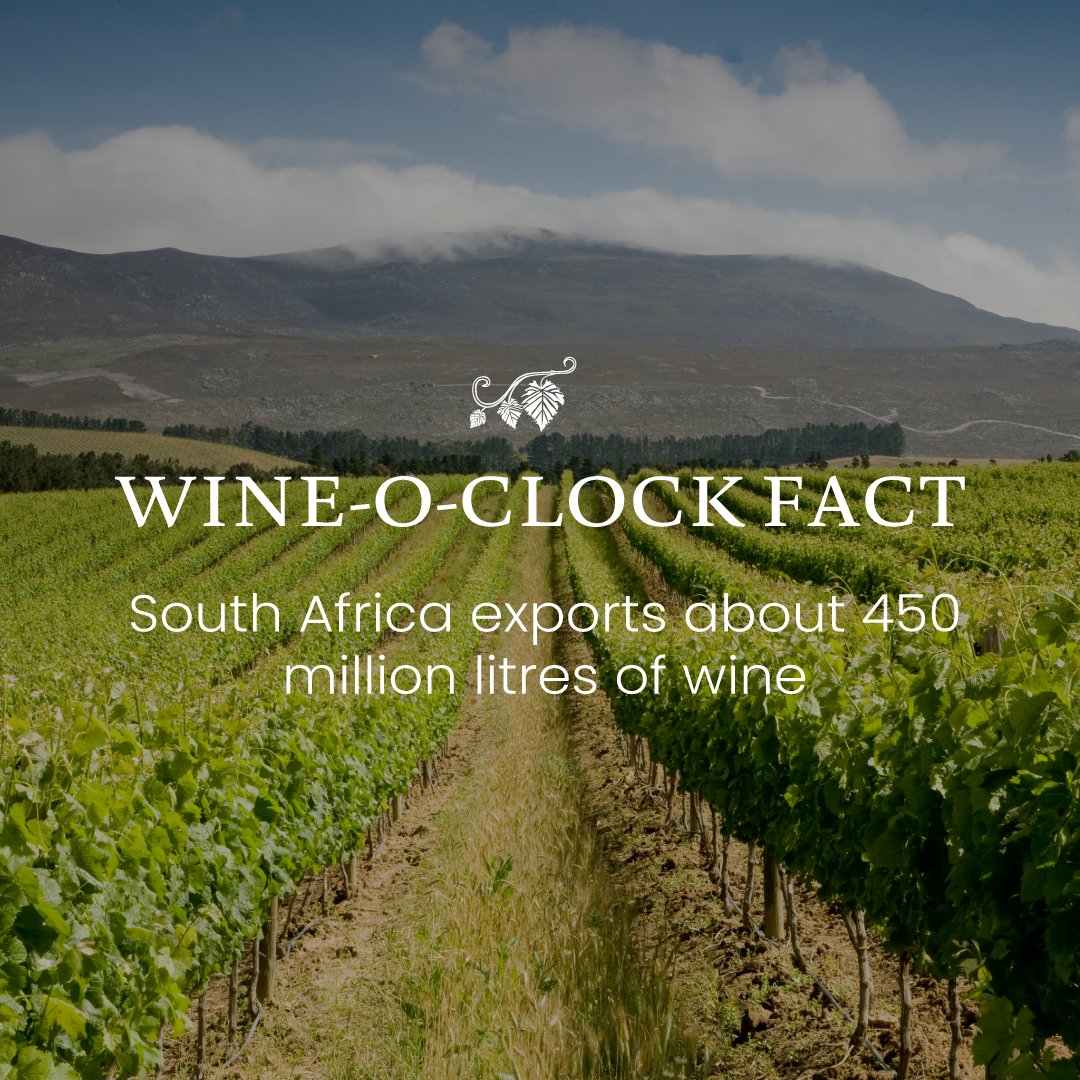 It’s WINE-O-CLOCK! South Africa has arguably some of the best wines worldwide and exports over 450 MILLION litres of wine annually. #julietcullinanstandardbankwinefestival #jcsbwinefest2018 #capewineries #southafricanwine #treasuresofthevine #sundayfunday #funfact #wineoclock