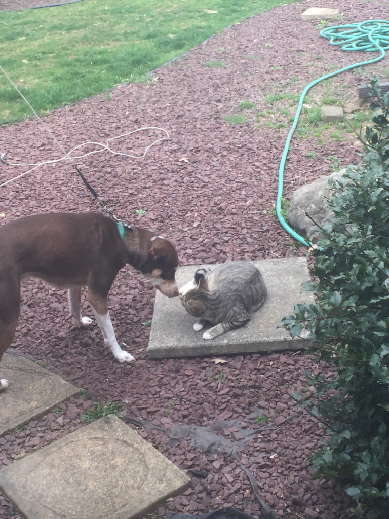 Tammy Blackwood (@tblackwood24) on Twitter photo 