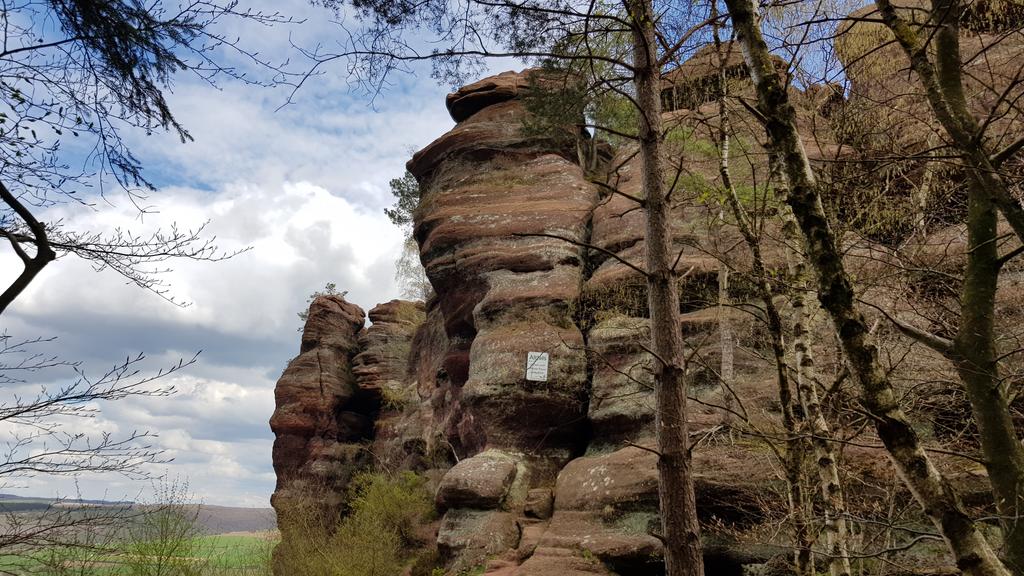 mogroach's tweet photo. Schönwettercacher 😎
#geocaching #saarburg #kurztrip https://t.co/GEMXnFMttR