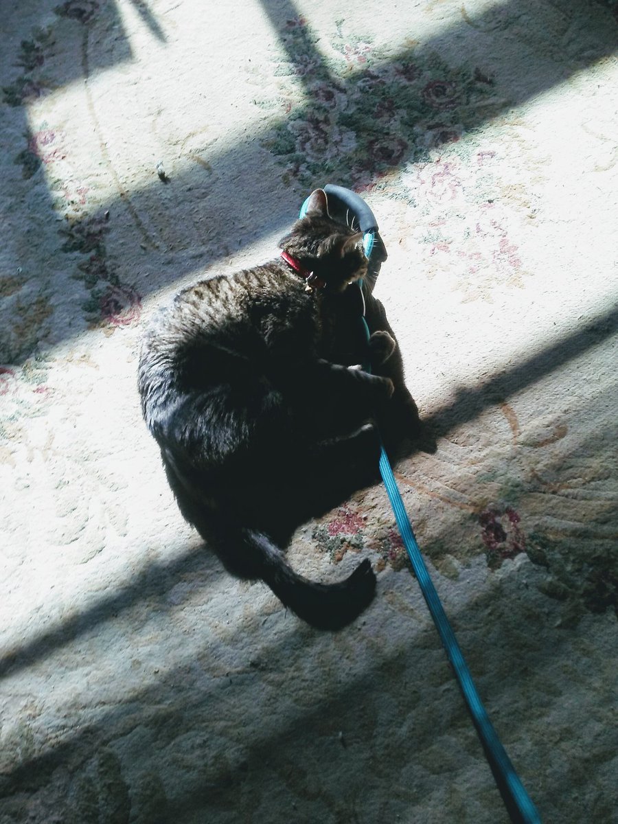 Ok. I'm ready to walk whatever is on the other end.