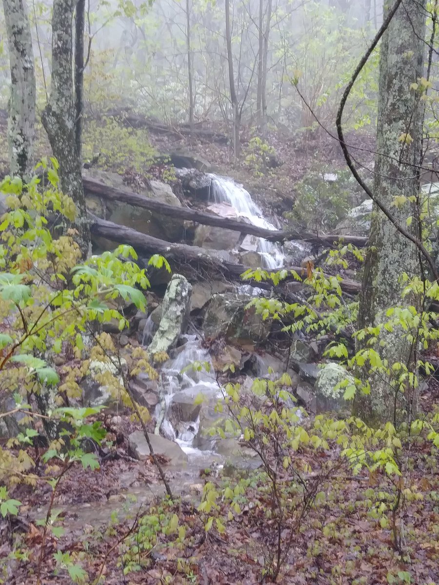 Darlene0528's tweet image. My veiwing for today @RyanPaevey #mtcheaha #taladegaforrest #itrained