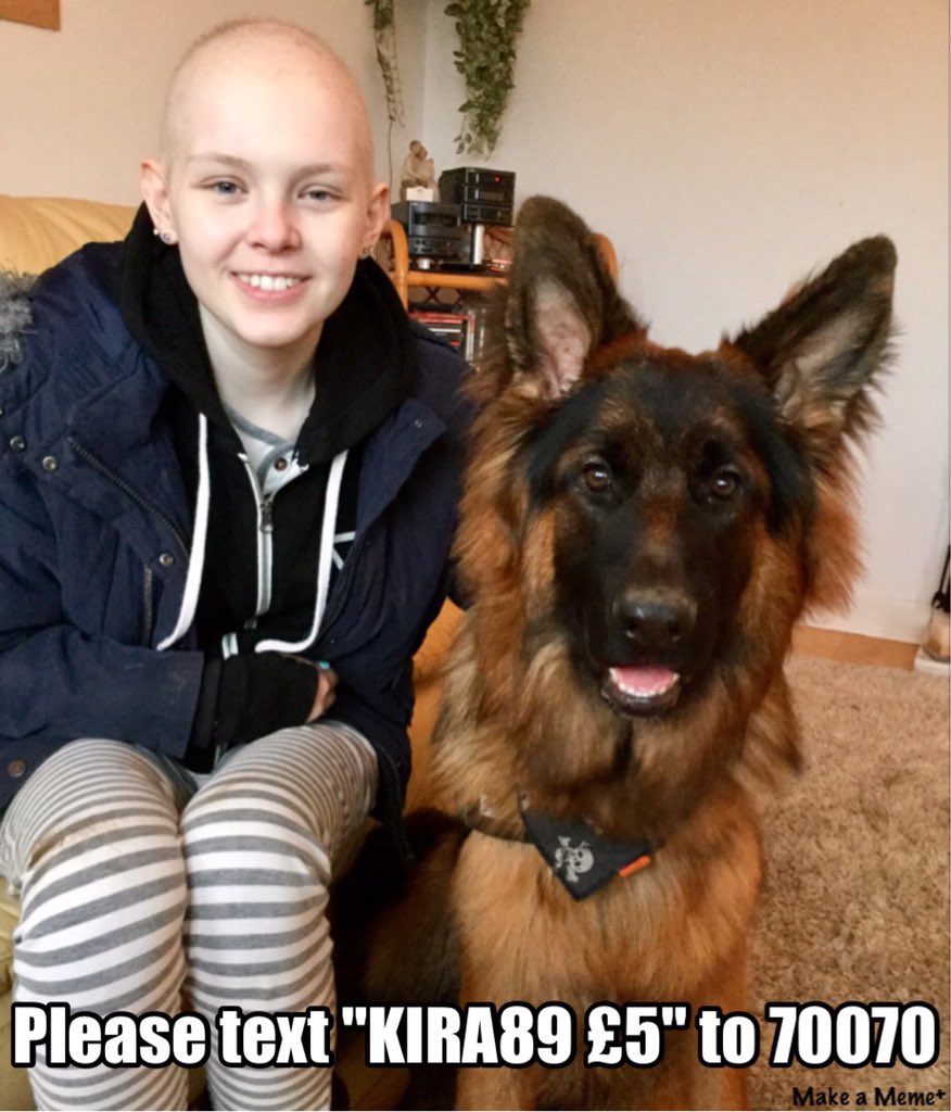 audnoble's tweet photo. Please help us to get #KiratheMachine to NYC for life saving surgery.

https://t.co/sitTjsNeR4 

https://t.co/w8KD0pzLv4 https://t.co/Lb7Zzpngxo