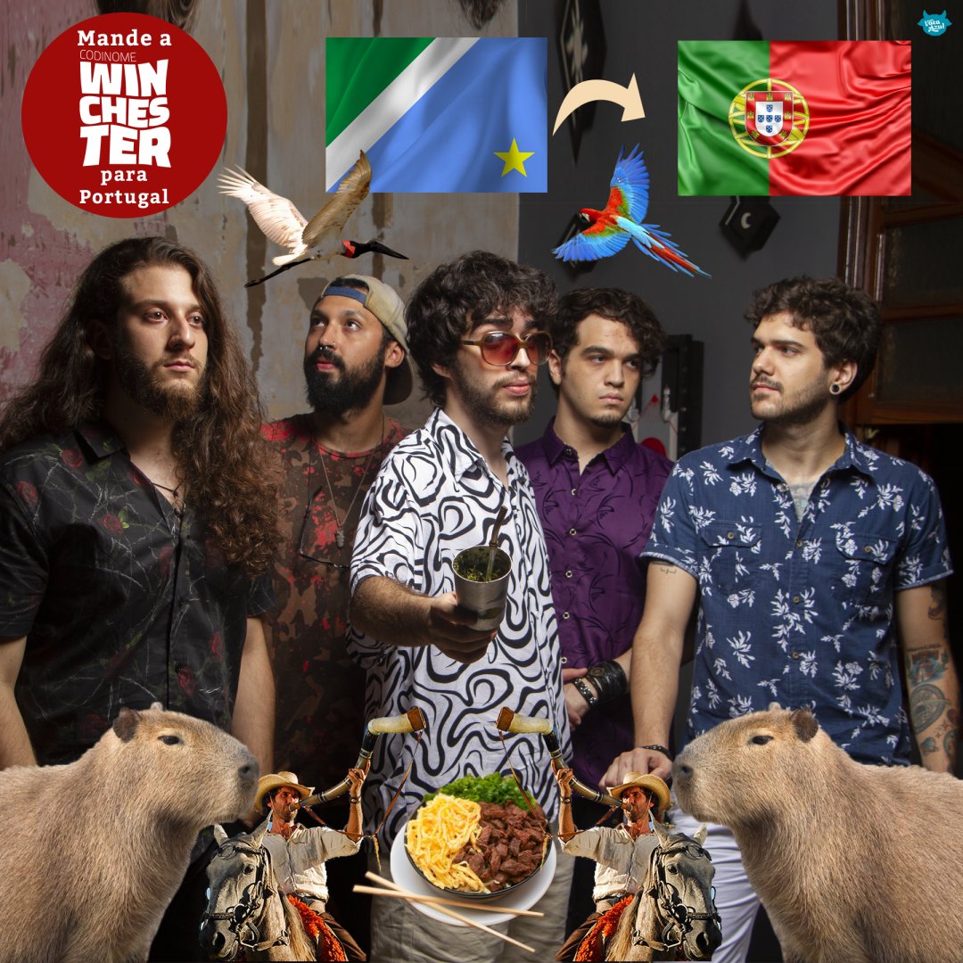 Winchesterbanda's tweet photo. Aoooo, boi 🐮 É nóis na carpida pra Portugal. Passamo pra segunda fase do EDP Live Bands Brasil e precisamo do seu voto pra chegarmos na final. Vota em nóis🙏? 
O link é https://t.co/LajtYXGey9
#TOP #TOPZEIRA #TOPISSIMO
#codinomewinchester https://t.co/xtukM2JUMz