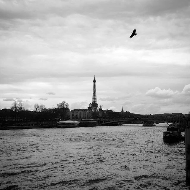 ElliSylvia's tweet photo. Grey skies of Paris.
#paris #france #instamoment #seine #eiffeltower #bridge #blackandwhite #blackandwhitephotography #beautifulcity #parisview #parislandscape #landscape #landscapephotography #cityphotography #city https://t.co/uCq9U4jWSf https://t.co/chgDhqL1MY