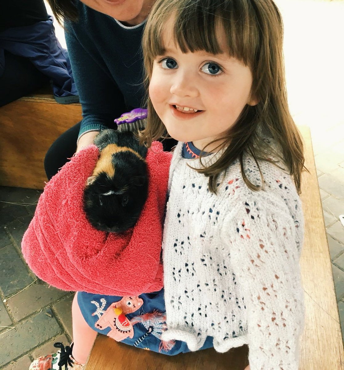 UpTheDiff's tweet image. For anyone suffering with the Sunday blues 💤 here's a photo of my toddler brushing a guinea pig. You're welcome x