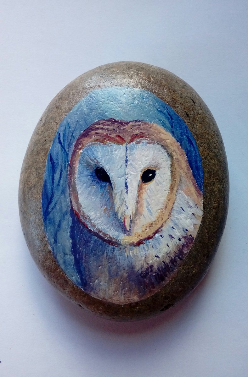 CertonKisters's tweet photo. Barn owl at night. 
#barnowl #owl #acrylic #acrylicpainting #artonsearock #artonstone #wildlife https://t.co/JzecAhKQyJ