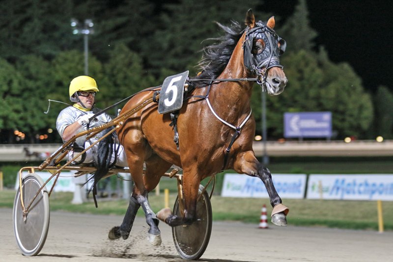 Joe_Zagari's tweet photo. #TamureRoc 🇮🇹 #ExploitCaf won #GranPremioCostaAzzurra 🇮🇹Group 1⃣ on @ippodromovinovo with #SantoMollo #FaustoBarelli in 1.14.1 on 1600 (last 400 in 27.2, last 600 in 41.0) over #TimoneEk and #AraziBoko - #UzaJosselyn 🇨🇭 out after first 400, #Dijon 🇫🇷 out on last 100 https://t.co/1pytX7oVKH