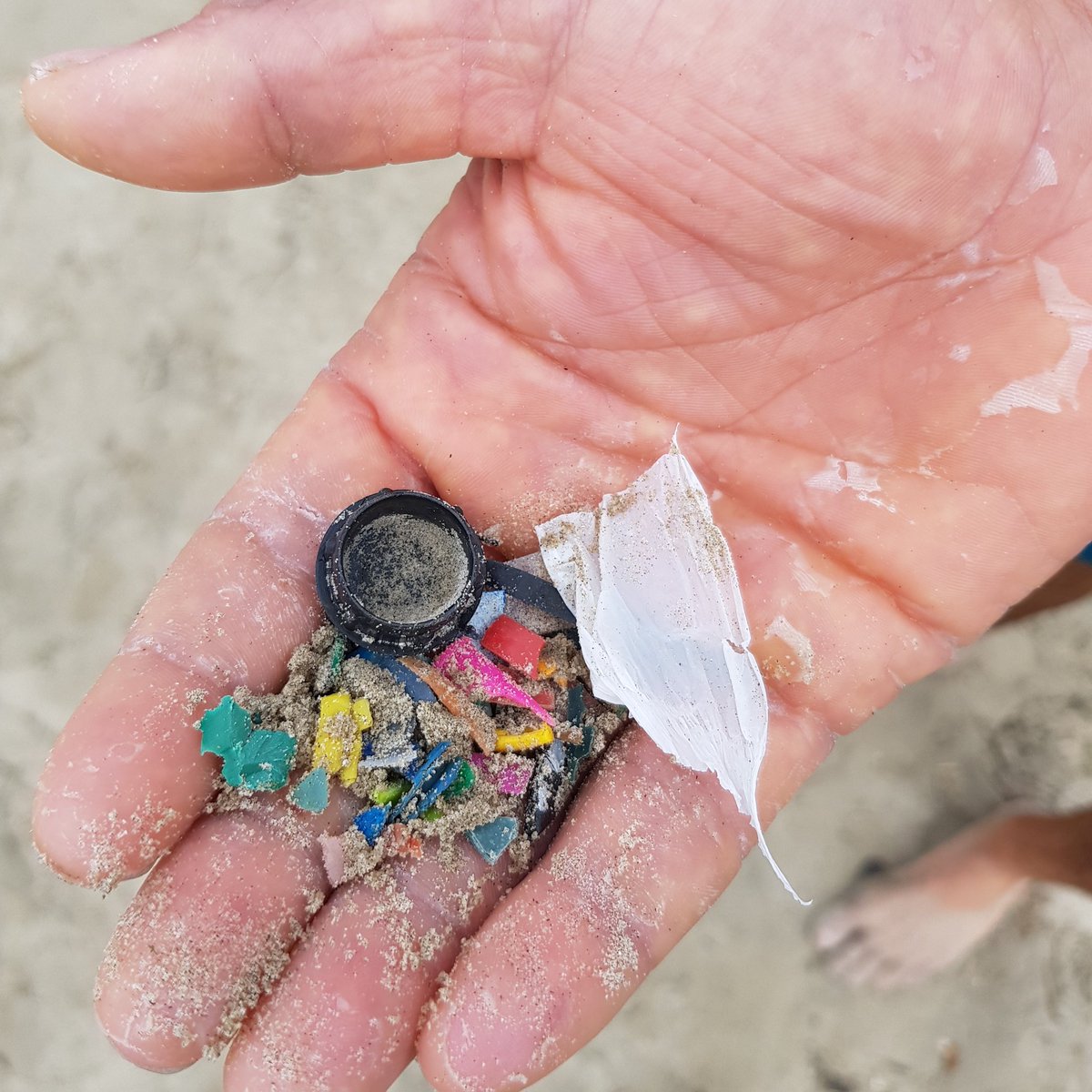 TurnTidePlastic's tweet photo. 🤢Just because you can't see it doesn't mean it's not there! ☝️ At least 51 trillion microplastic particles are already in our oceans 🌊 harming over 600 species! 😰. Be an #OceanHero and #PassOnPlastic 🚯 👊 💙 #TurntheTideonPlastic #CleanSeas #BeachClean https://t.co/wu74RLmHeb