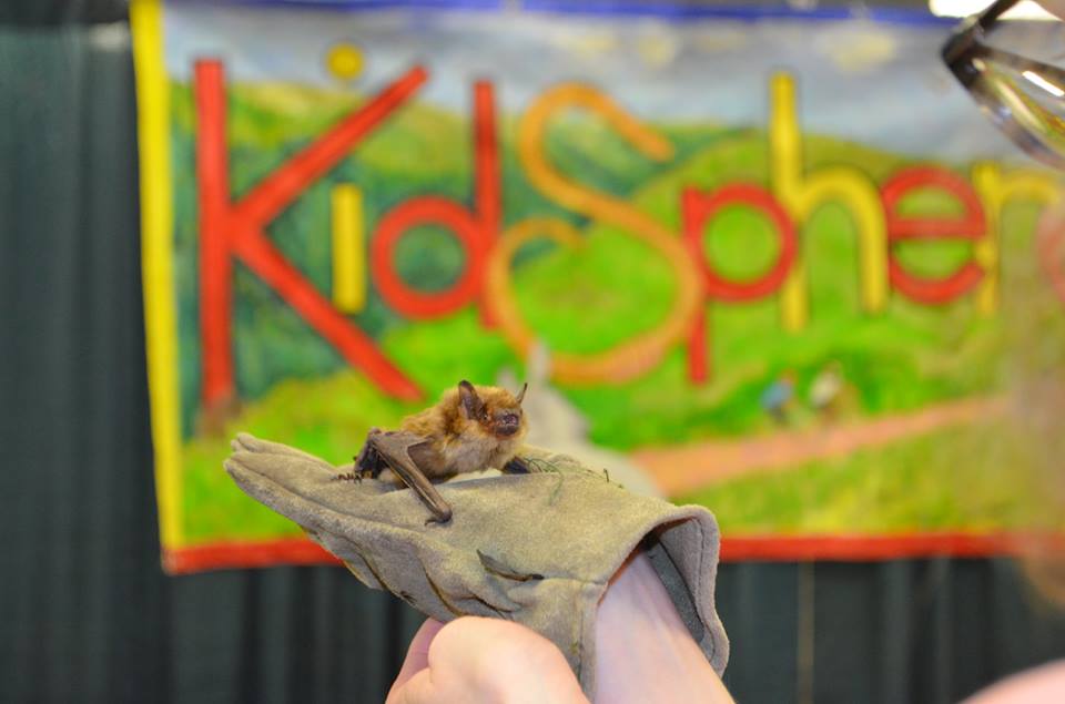 Don't forget - kids 12 &amp; under get in free to the Expo. Batrick &amp; Elizabat the bats will be visiting at 3pm this afternoon! Drop by for a visit and #getgreen #sklivinggreenexpo