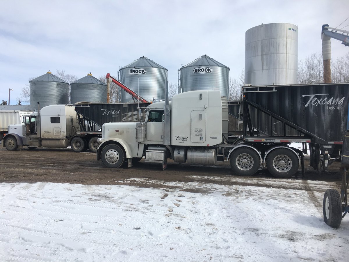CattleNut's tweet photo. When you need help turning inventory into cash let Texcana Logistics be your first call. #blairs #texcanalogistics #sask #helpinggrowers https://t.co/Sar4l9B6UF