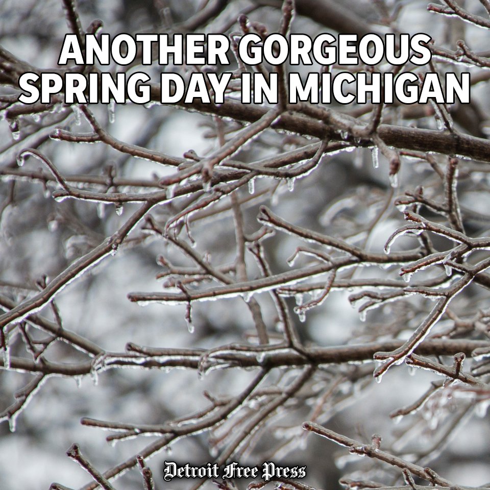 Detroit Free Press (@freep) on Twitter photo 