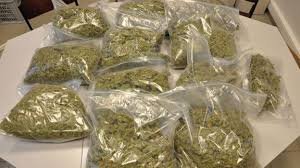 DelireeFr's tweet photo. Hey bro i come to the party ! 😂✅
#Weed #Party https://t.co/6jllU9M1rR