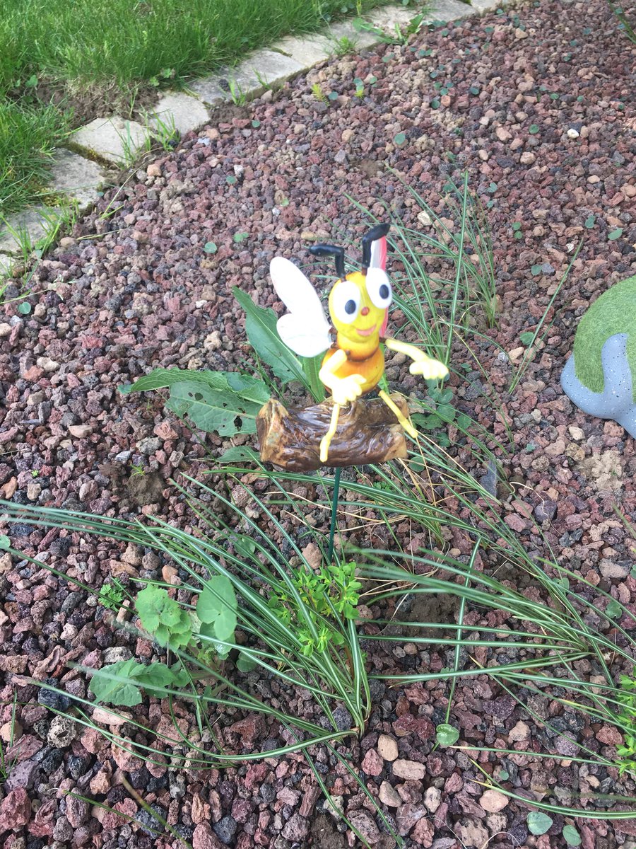 FURIOUSG_'s tweet image. #TeamBee jusque dans les décos du jardin 🐝