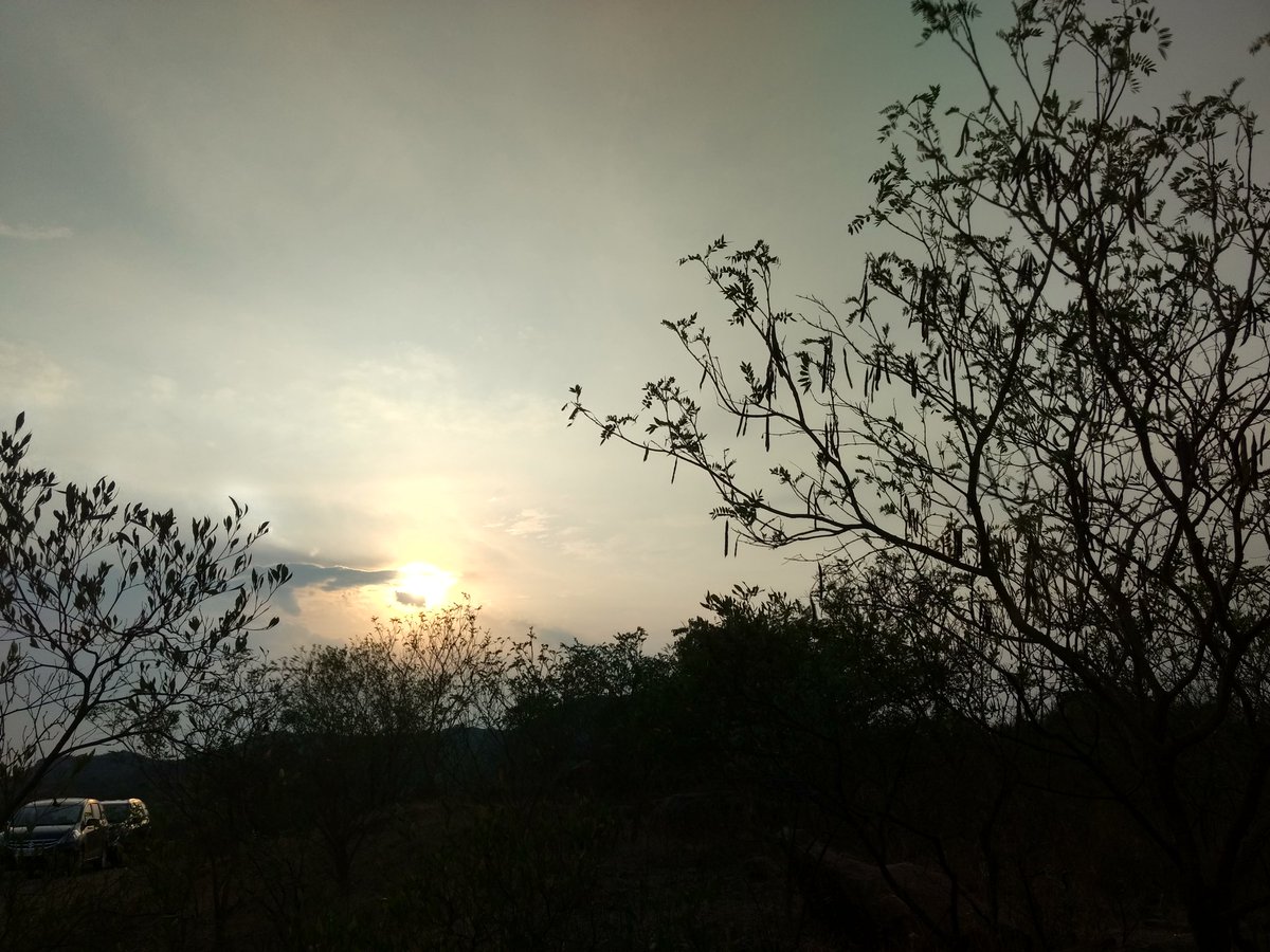 NnavikethPatil's tweet photo. Pc By : Nnaviketh patil https://t.co/xuJGjA3F34