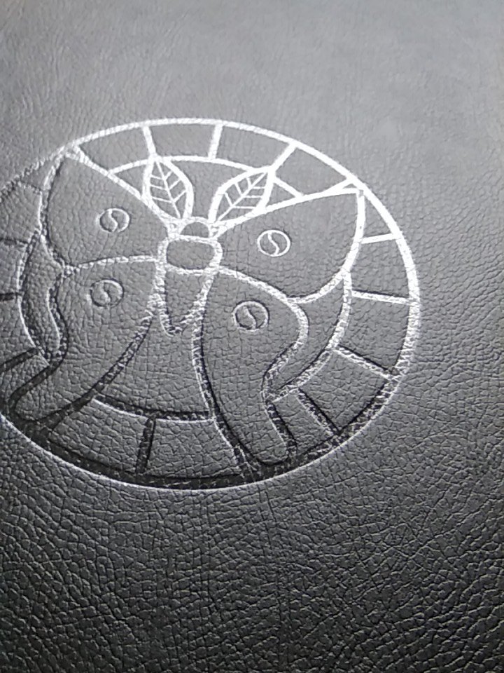 Hedgefairy 🎠 tweet media